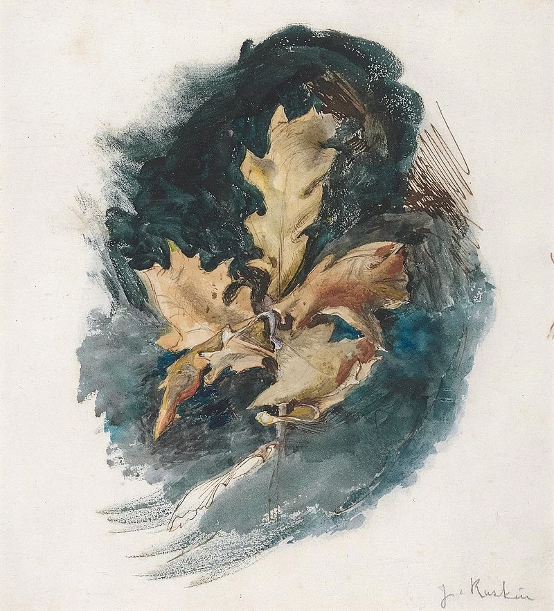 Studio di una foglia di quercia - Yale Center for British Art